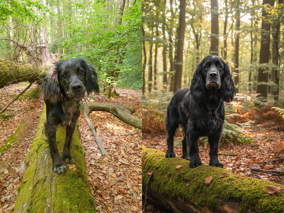 Featured image for AI and the Art of Seeing: What It Means for Real Photography