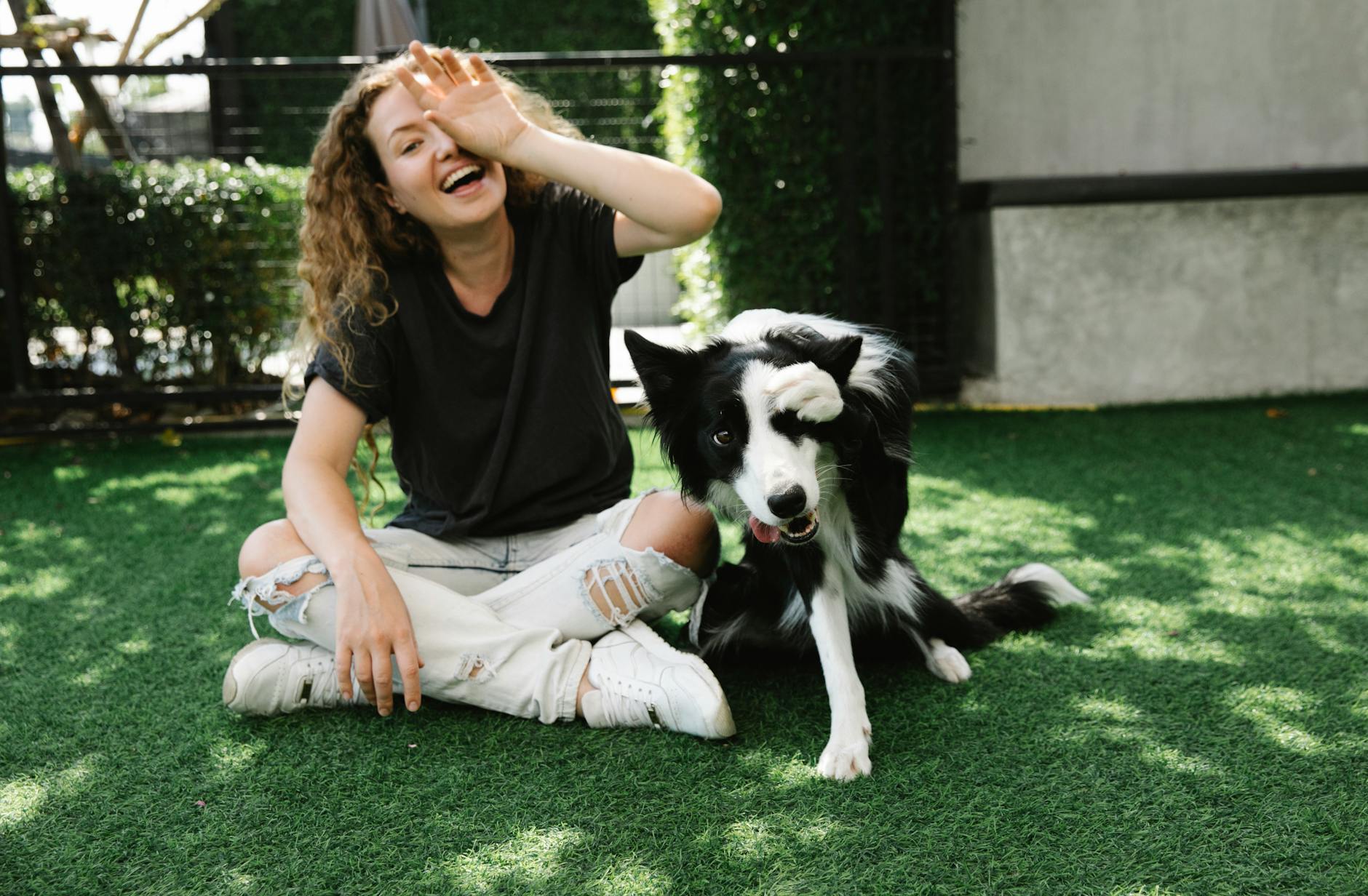 happy owner having fun with border collie on lawn