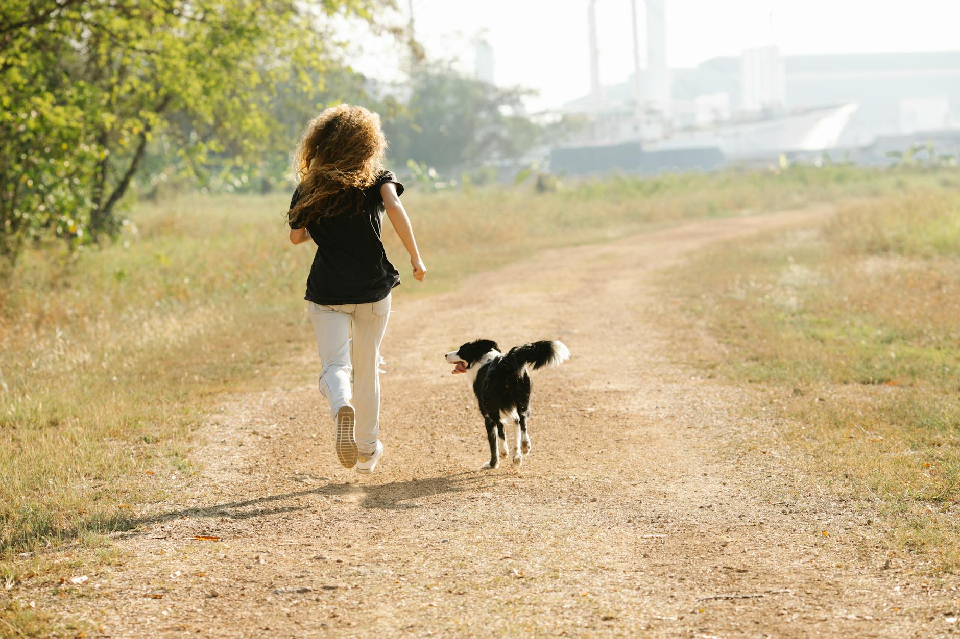 unrecognizable sportswoman running with border collie on path in park