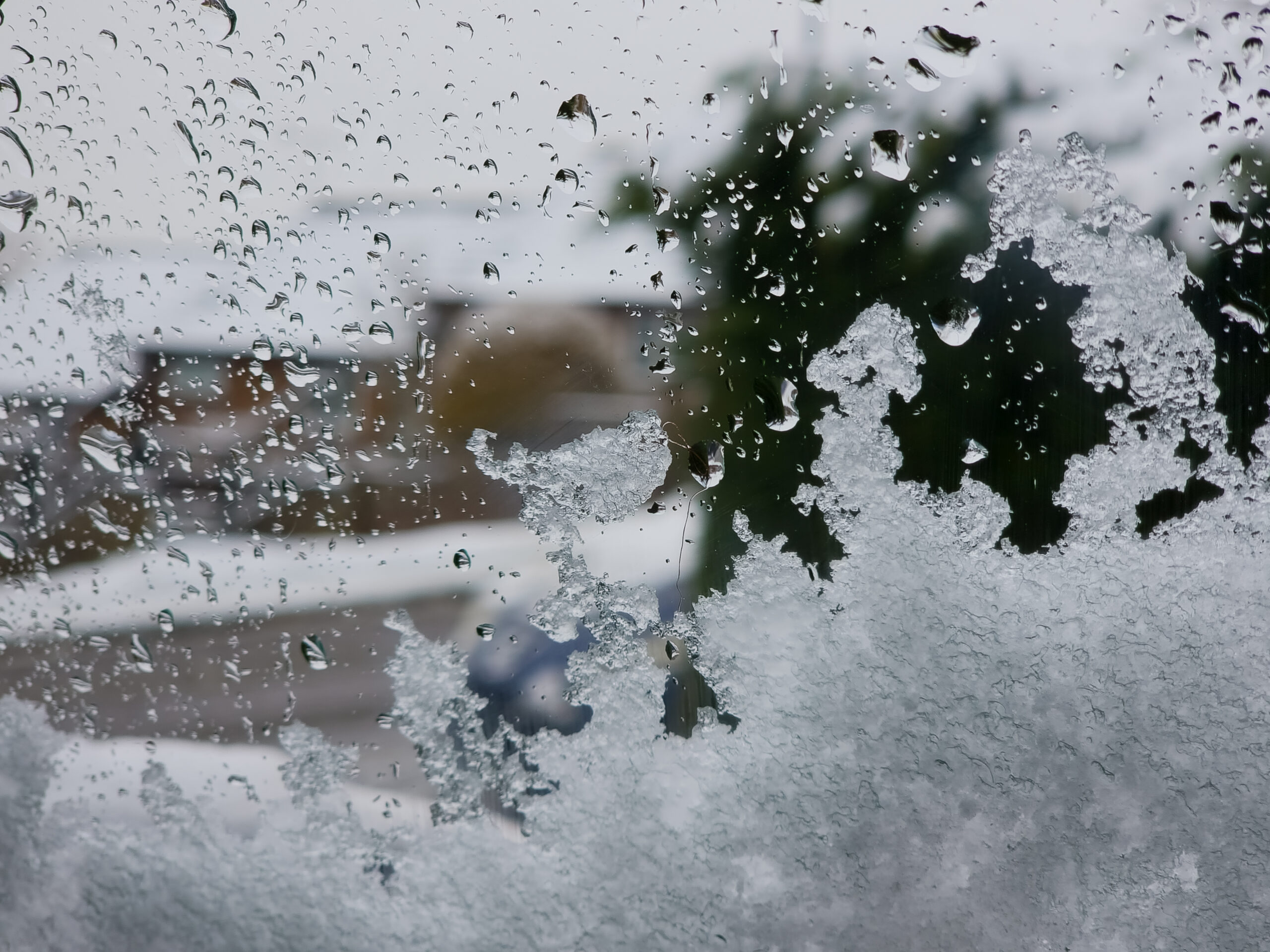 Featured image for Capturing Frosty Magic: A Winter Photography Expedition