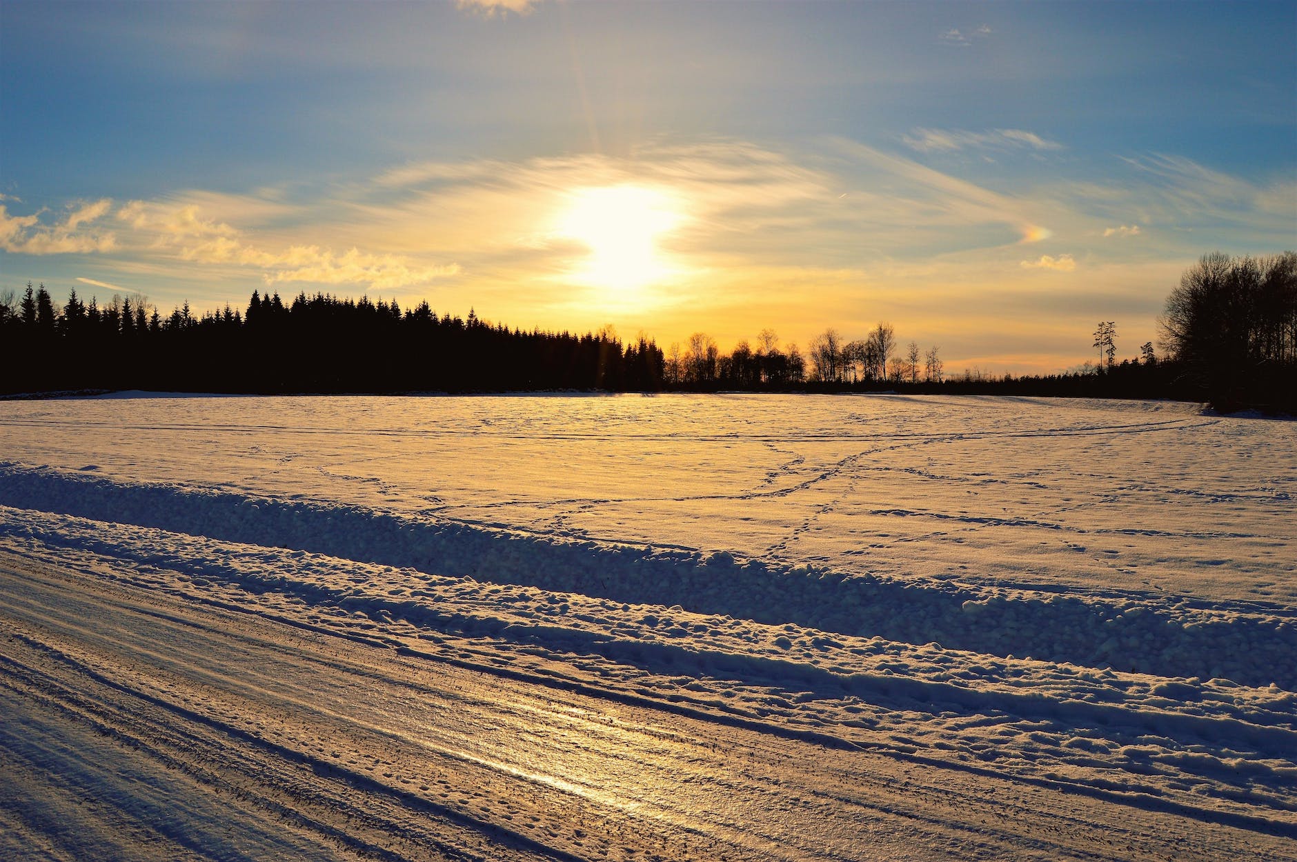 silhouette of trees in front of snow field durin sunrise